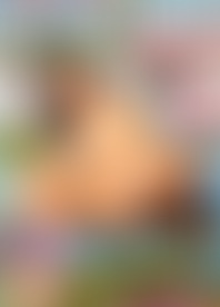 I*l F*: B*k C*s A*n H*s V*. 4