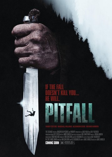 Pitfall - Poster 4 Pitfall - Poster 4