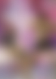 S*s On T*e W*d S*e 3