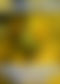 R*g T*e R*t - M*a v*. E*y