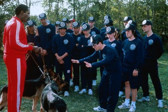 Police Academy 3 - Und keiner kann sie bremsen - Szenenbild 11 Police Academy 3 - Und keiner kann sie bremsen - Szenenbild 11