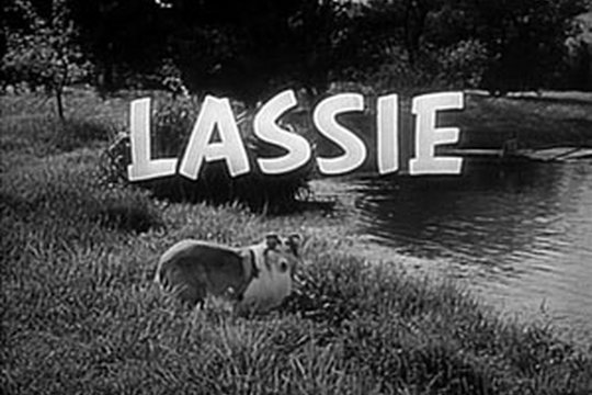 Lassie - Volume 1 - Szenenbild 1