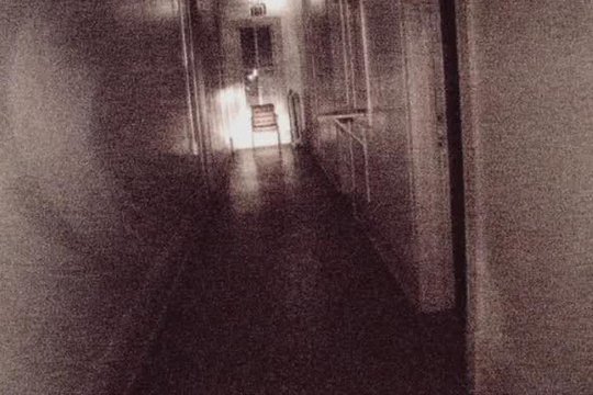 Paranormal Investigations 5 - Szenenbild 3