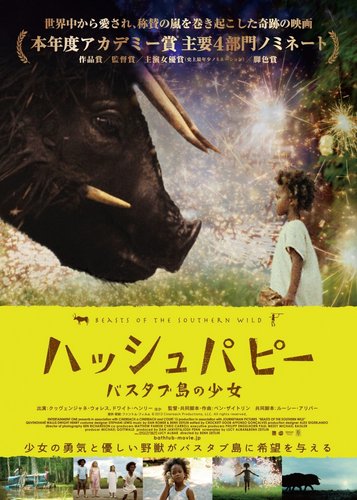 Beasts of the Southern Wild - Poster 5