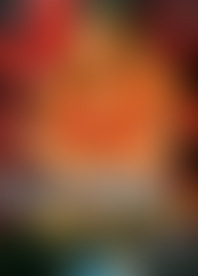 L*r B*d D*s F*m H*l 25