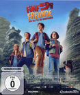 Fünf Freunde 5 - Fünf Freunde und das Tal der Dinosaurier