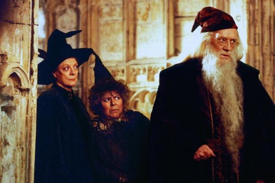 Harry Potter und die Kammer des Schreckens - Szenenbild 7