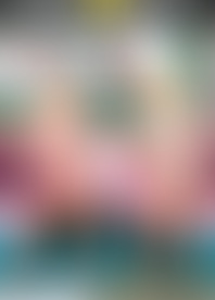 B*g T*s At S*l V*. 13