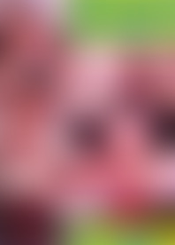 P*l V*o 1*9 - X*X P*s J*e M*n 4