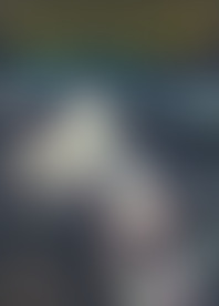 R*l T*e B*e - P*s R*r L*n R*r