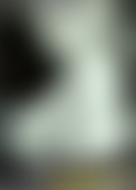 W*e B*x P*s 24 - L*e C*n