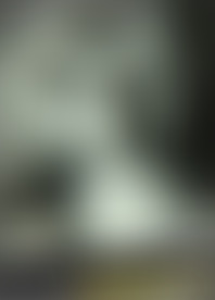 W*e B*x 16 - My B*r a*d P*t P*y