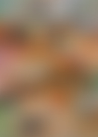 S*e Y*m P*s T*y V*s N*w Y*k S*s