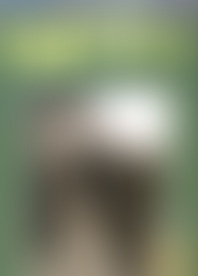 G*y E*a F*m T*e P*t #5