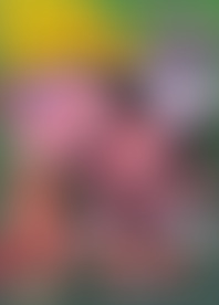 D*y H*s R*l A*s 10 - B*k to B*k