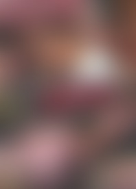 V*s K*r L*s M*s De T*i 3 - B*s S*t B*s