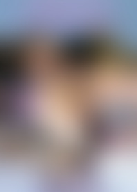 F*g P*: L*s A*y V*l 1