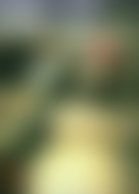 T*g D*k V*. 6*: D*n & D*y