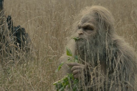 Sasquatch Sunset - Szenenbild 4 Sasquatch Sunset - Szenenbild 4