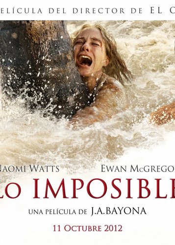 The Impossible - Poster 10