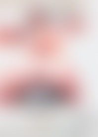 B*t of F*g P*. V*. 17