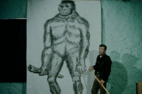 Capturing Bigfoot - Szenenbild 1 Capturing Bigfoot - Szenenbild 1