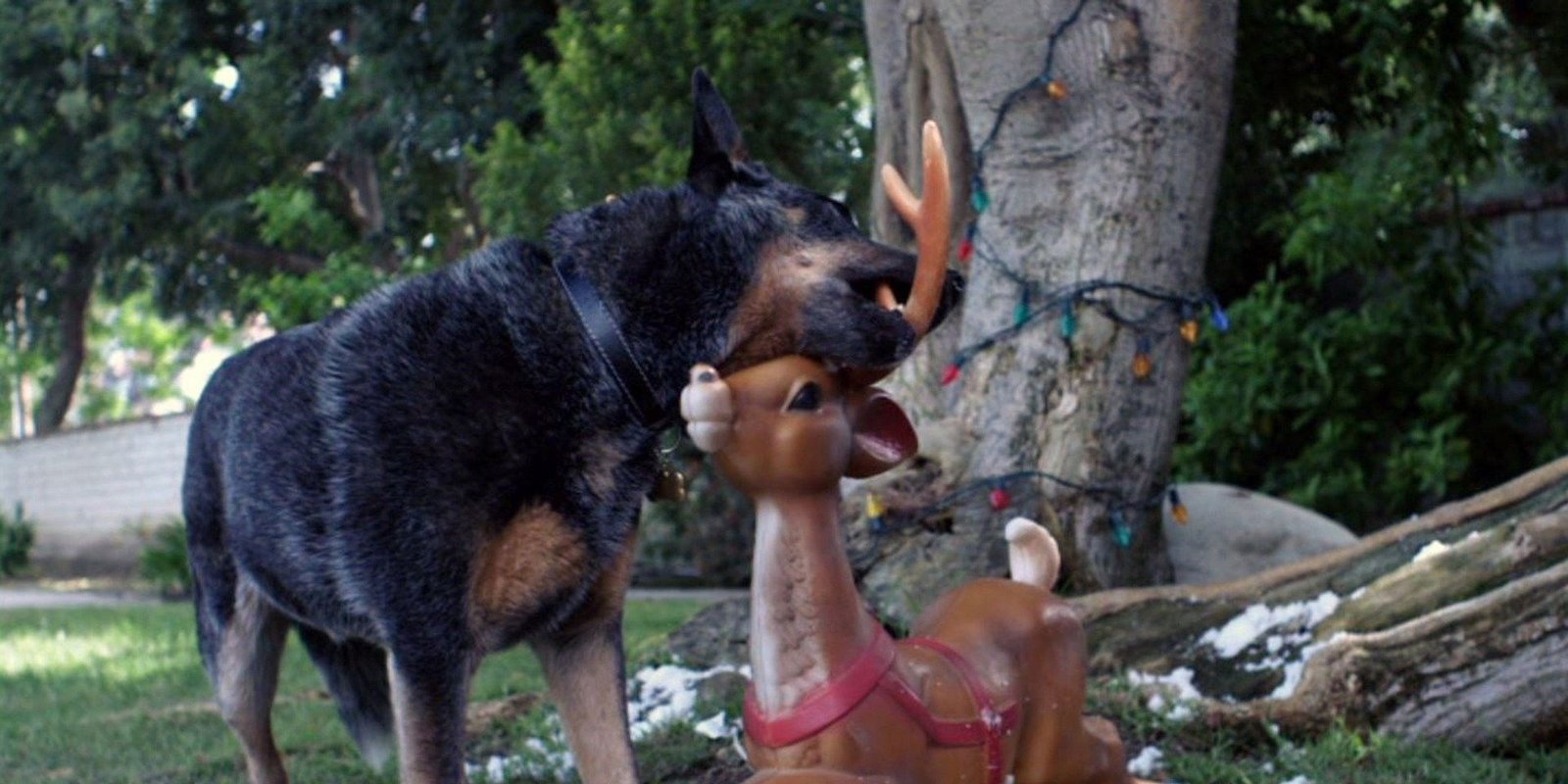 Bone - Allein zu Haus