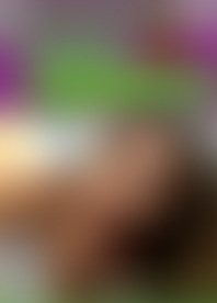 C*c B*k C*: R*a & C*, T*e