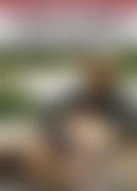 M*e A*r S*t J*k O*f E*t P*y 2