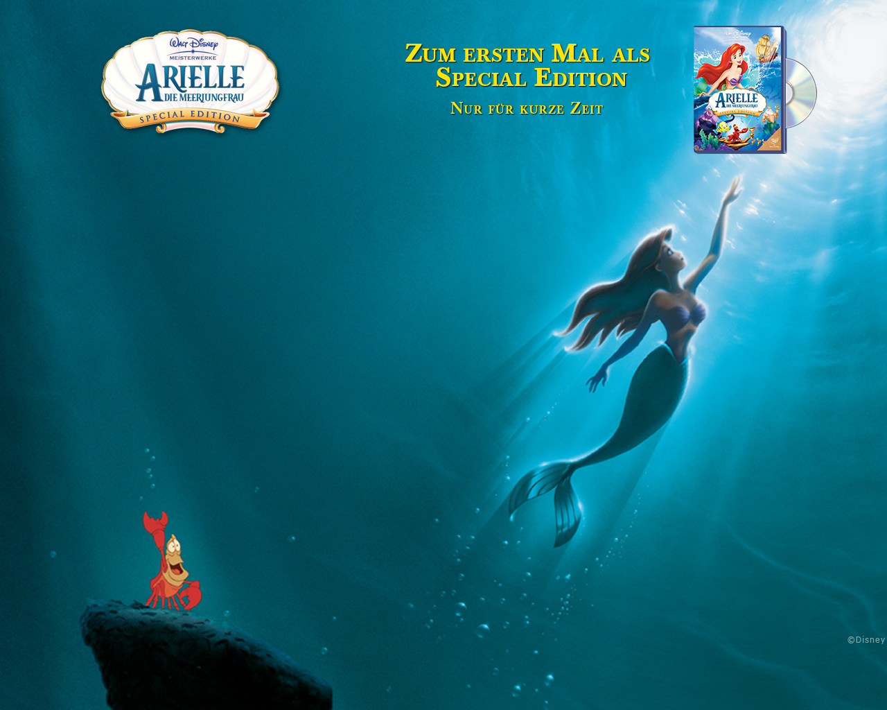 Arielle die Meerjungfrau: DVD oder Blu-ray leihen - VIDEOBUSTER.de