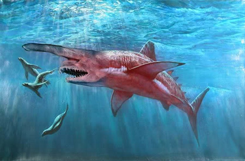 shark attack sie lauern in der tiefe stream shark attack sie lauern in der tiefe stream