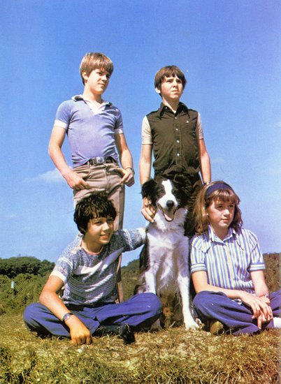 Fünf Freunde Dvd Box