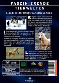 Faszinierende Tierwelten - Pferde - Neuauflage (DVD)
