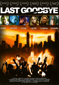 Last Goodbye (DVD)