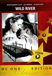 Wild River - Wilder Strom (DVD)