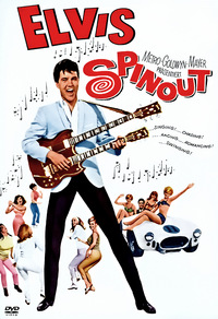 Spinout - Sag niemals ja (DVD)