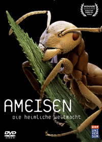 Ameisen (DVD)