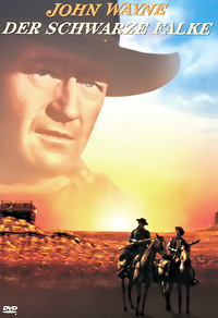 Der schwarze Falke (DVD)