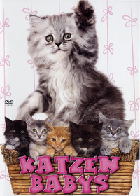 Katzenbabys (DVD)