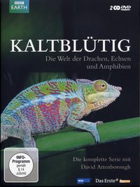 Kaltblütig - Disc 2 - Episoden 4 - 5 (DVD)