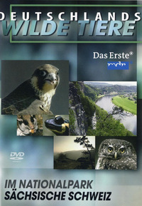 Deutschlands wilde Tiere - Im Nationalpark Hainich (DVD)
