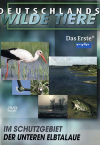 Deutschlands wilde Tiere - Im Schutzgebiet der Unteren Elbtalaue (DVD)