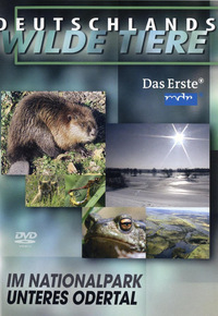 Deutschlands wilde Tiere - Im Nationalpark Unteres Odertal (DVD)