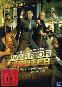 Warrior Fighter (DVD)