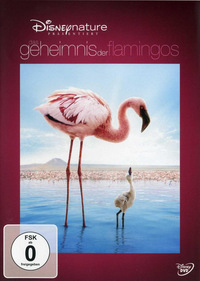Das Geheimnis der Flamingos (Blu-ray)