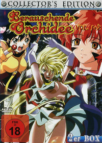 Berauschende Orchidee - Volume 2 - FSK-18-Fassung (DVD)