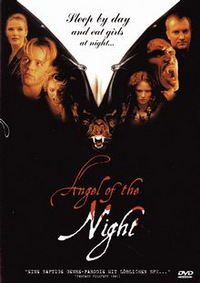 Angel of the Night - Engel der Finsternis (DVD)