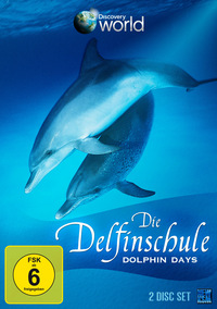 Die Delfin-Schule
