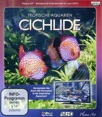 Tropische Aquarien - Cichlide (Blu-ray)