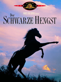 Der schwarze Hengst (DVD)